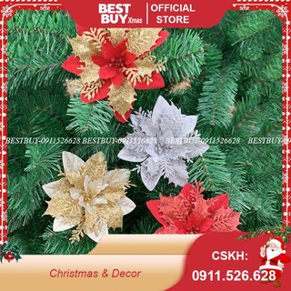 [Sỉ] Bông hoa trạng nguyên Trang trí noel,làm oản,trang trí