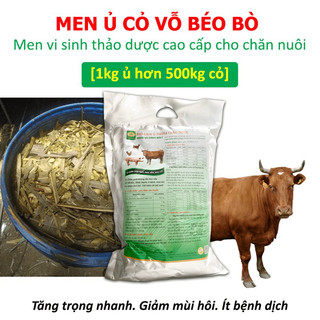 Men ủ cỏ cho Bò - Vỗ béo chăn nuôi - 1kg Men ủ được 500kg thức ăn - Tăng trọng nhanh, giảm mùi hôi