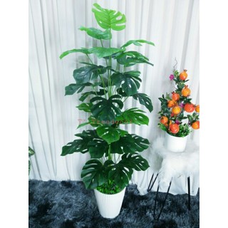 Cây giả decor, Chậu cây giả trang trí Cây trầu bà, Cây nhân tạohoa trang trí cây chuối,Mẫu cây 1m3