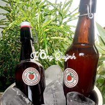 Scoby Kombucha