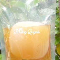 Scoby Kombucha