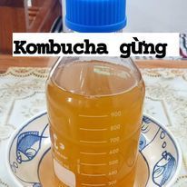Scoby Kombucha