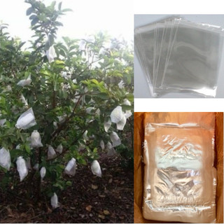 1kg - túi nilon bao trái ổi chuyên dụng - túi nilon bọc ổi thủng 2 đáy