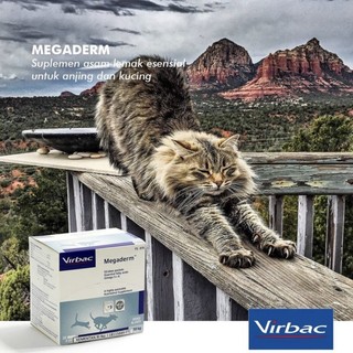 Virbac Megaderm Gel ăn làm đẹp da & lông