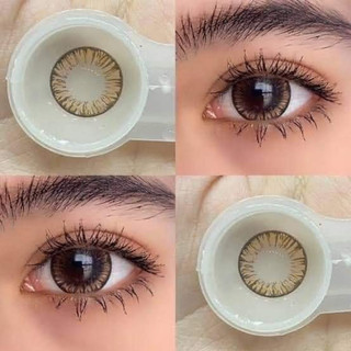 20 MẪU LENS NÂU TÂY KHÔNG ĐỘ