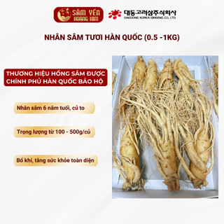 Nhân sâm tươi hàn quốc 6 năm tuổi 210 củ/1kg, sâm hầm gà 26-30 củ/kg - sâm yến hoàng kim