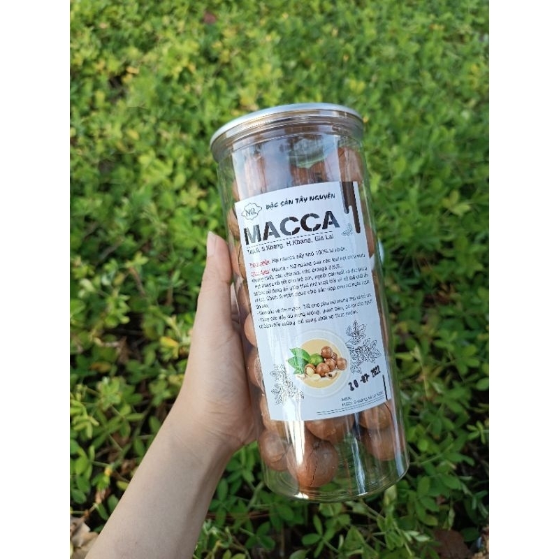 Nhân macca sấy vỡ đôi