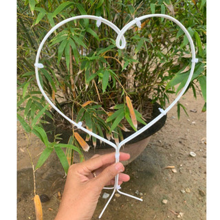 Khung Giá đỡ cành hoa mười giờ, củ bình vôi
