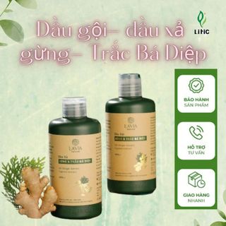 Dầu gội dầu xả gừng và trắc bá diệp combo hỗ trợ mọc tóc giảm rụng tóc cho da đầu LAVIA LA03