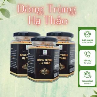 đông trùng hạ thảo - dược liệu Việt Nuôi cấy tại nhà