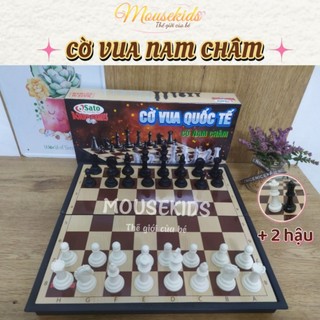 Bộ cờ vua nam châm 31*31cm cao cấp
