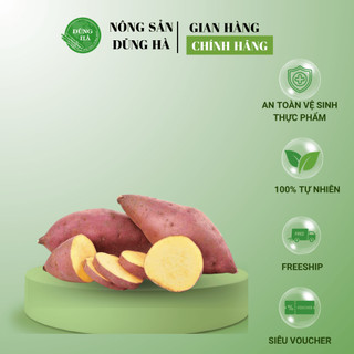 KHOAI LANG MẬT ĐÀ LẠT cực kỳ thơm ngon, khoai ngọt, hỗ trợ hệ tiêu hóa (SHIP HỎA TỐC)