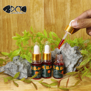 Thuốc vương bản đặc biệt - đài câu thích