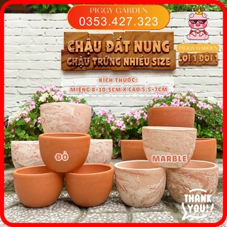 Chậu đất nung - Chậu trồng sen đá, xương rồng - Chậu trứng miệng 8-10.5cm x cao 5.5-7cm