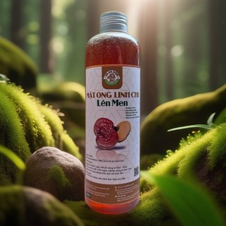 Mật ong linh chi lên men