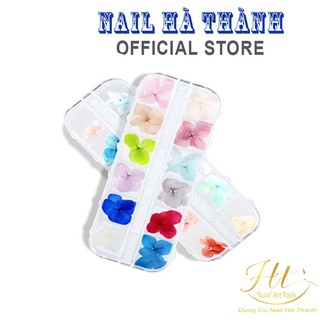 Phụ kiện nail hoa khô trang nail trí móng cánh to 12 màu