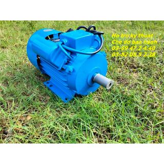 Motor động cơ điện 1 pha 2,2kw 2800v/p