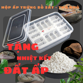 Hộp ấp trứng động vật bò sát, thằn lằn, rùa, gà rutin - tặng kèm nhiệt kế - tặng đất ấp