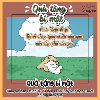 Quà tặng bí mật khi mua giấy bao tập indybmt