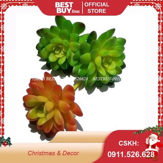 Đầu Bông Sen Đá - Trang trí ,decor, phụ kiện