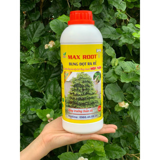 PHÂN BÓN CÂY TRỒNG CHUYÊN CHO MAI VÀNG - CHAI 1 LÍT