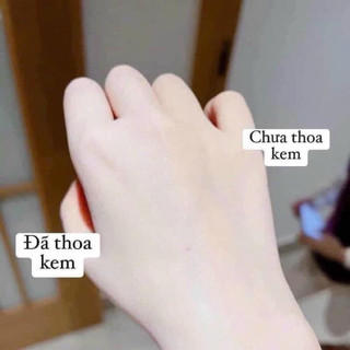 KEM NỀN TRANG ĐIỂM TREECHADA 50G THÁI LAN