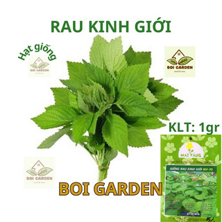 Hạt giống rau kinh giới cao sản