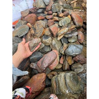 1KG Đá Cuội Vân Mây - Trang Trí Hồ Cá, Bể Cá Thuỷ Sinh, Hòn Non Bộ, Cây Kiểng [ĐÁ CUỘI VÂN MÂY]