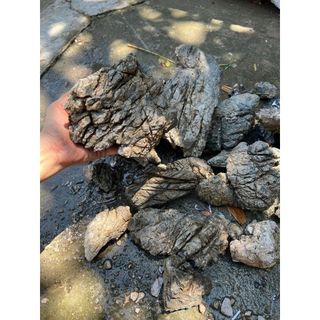 1kg đá da voi - trang trí hồ cá, bể cá thuỷ sinh, cây kiểng