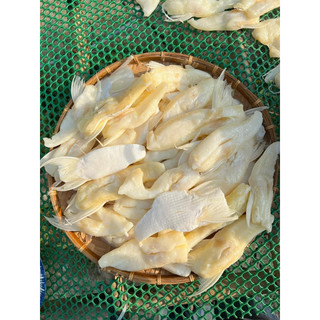 KHÔ ỨC CÁ DỨA NGẮN 500gr