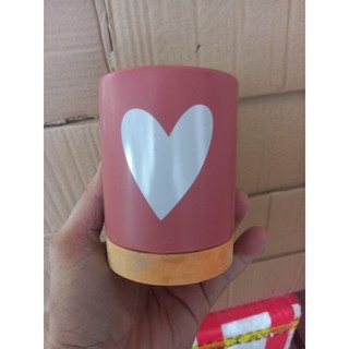 chậu gốm  trồng sen đá