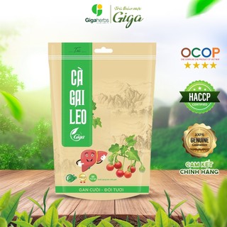 Trà túi lọc Cà Gai Leo nguyên chất Giga -  giúp hạ men gan,hỗ trợ thải độc gan ( túi 250g)