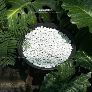 Đá perlite - đá trân châu túi 5l - 10l trồng cây, ươm mầm