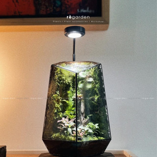 Đèn led quang hợp 3w - 7w trồng cây kèm đế gỗ cho terrarium, bể bán cạn, tiểu cảnh