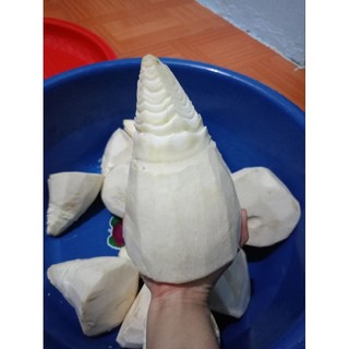 Măng mai rừng chua Lạng Sơn 1.5kg
