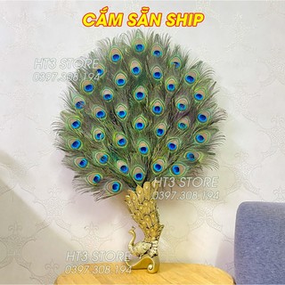 Bình lông công CẮM SẴN 39 cành, chất liệu nhựa Composite