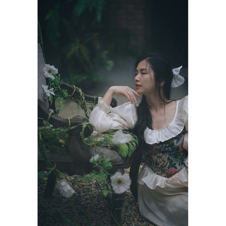 Đầm style tiểu thư cổ điển ( ảnh thật)