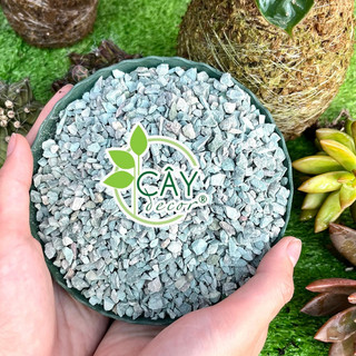 Đá Zeolite 3-6mm cho sen đá, xương rồng, đá khoáng chất lượng