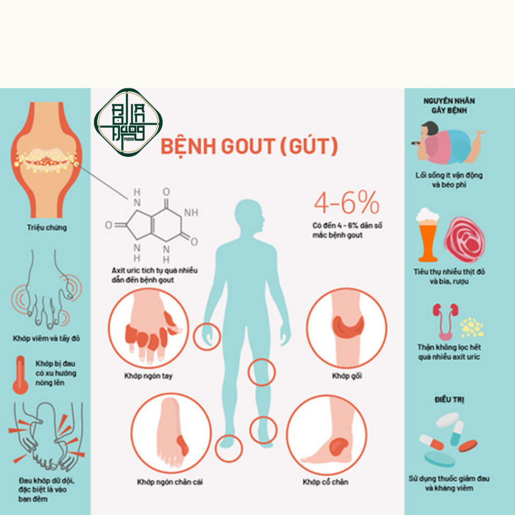 Trà Tiêu Gút (Gout) - Bội lan đường - Đào Thải Axit Uric, Giảm Nguy Cơ Viêm Khớp Gout - Dây gắm, Củ Ráy - túi 50 Lọc