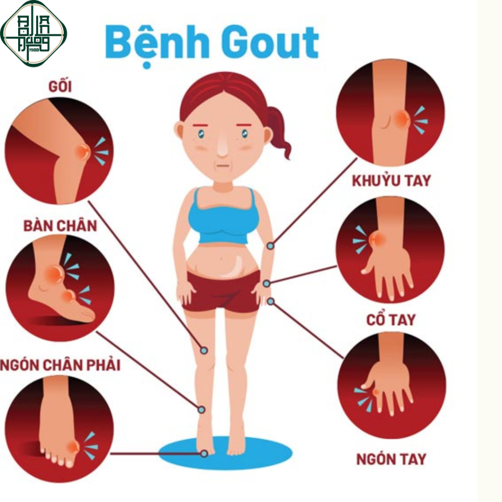 Trà Tiêu Gút (Gout) - Bội lan đường - Đào Thải Axit Uric, Giảm Nguy Cơ Viêm Khớp Gout - Dây gắm, Củ Ráy - túi 50 Lọc