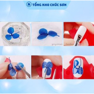 Hoa Khô Lụa Cánh To