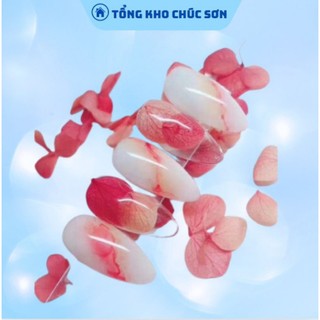 Hoa Khô Lụa Cánh To