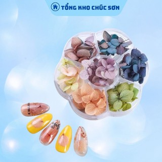 Hoa Khô Lụa Cánh To