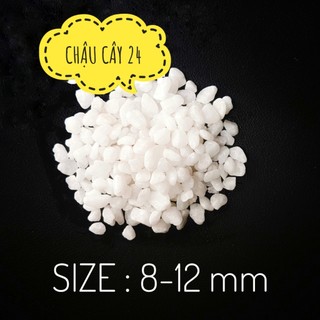 Sỏi Trắng Trang Trí Bể Cá (1 KG), decor Chậu Cây Cảnh, Terrarium, sân vườn size 8-12 mm