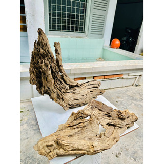 Lũa gỗ mini ghép thuỷ sinh - Decor tiểu cảnh