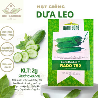 Hạt giống dưa leo lai f1 _hạt giống rạng đông