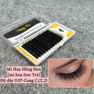 Mi hoa hồng đen, mi hoa sơn trà _keo nối mi_dụng cụ nối mi_thúy hà