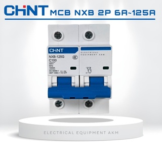 Aptomat MCB 2 Pha NXB-63 Chint 6A,10A,16A,20A,25A,32A,40A,50A,63A,;Dòng Cắt 6KA~10KA (Hàng chính hãn