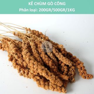- kê chùm gò công cho vẹt, chim, hamster, sóc