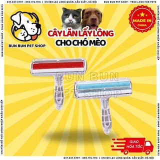 Cây Lăn Tĩnh Điện Lấy Lông Rụng Chó Mèo